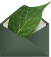 envelope icon