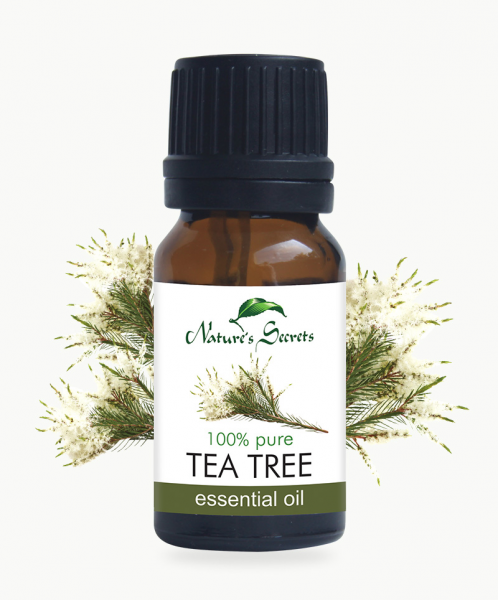 Tea tree deals oil price