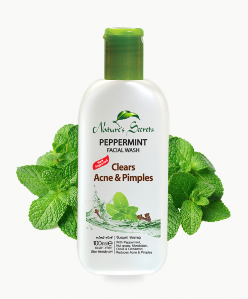 Peppermint Facial Wash Nature s Beauty Creations Ltd